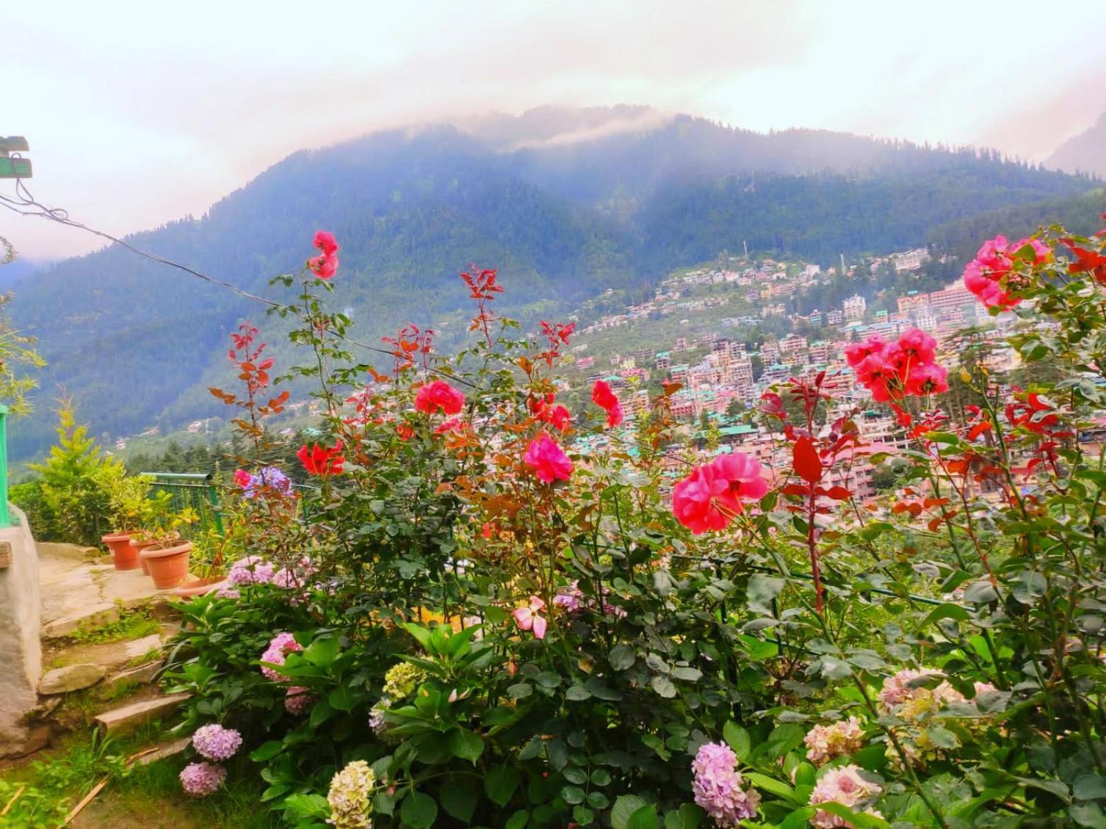 Cupidtrails-Himalayan Castle Villa Manali  Ruang foto